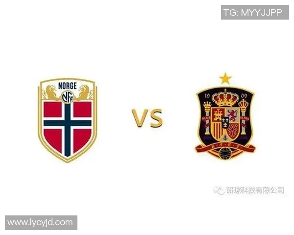 欧洲杯赛事安全保障措施及应急预案