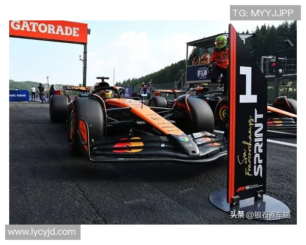 F1赛车燃料策略对比赛成绩影响分析